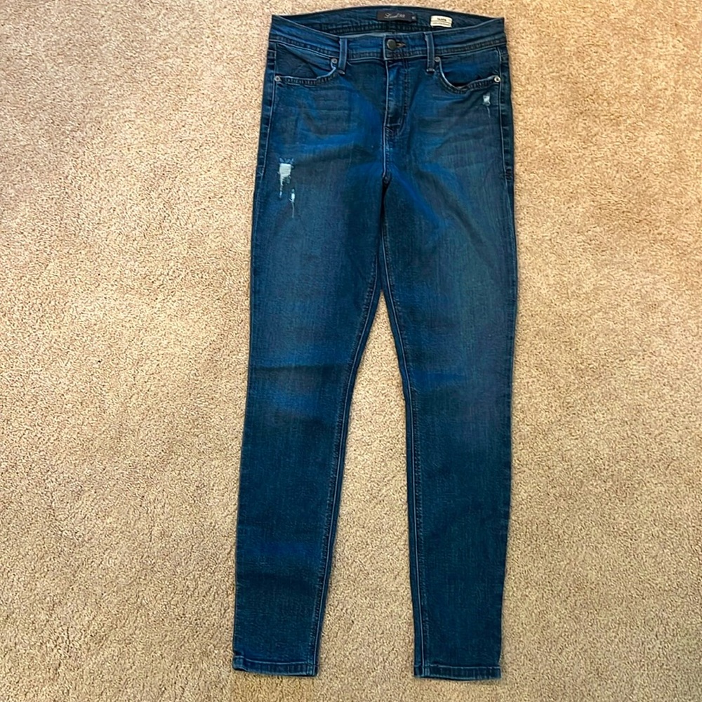 Level 99 Tanya High Rise Skinny Jean Size 30